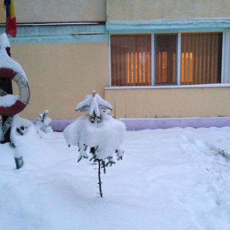 Apartament Slănic-Moldova Eksteriør bilde