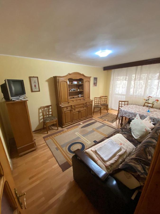 Apartament Slănic-Moldova Eksteriør bilde